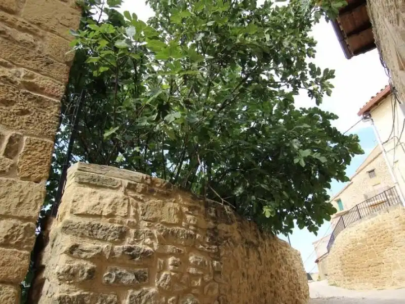 Wohnung zum Verkauf in Calle Cubillo, 4, El Frago Außenansicht von Wohnung zum Verkauf in El Frago mit Klimaanlage, Heizung und Parkett