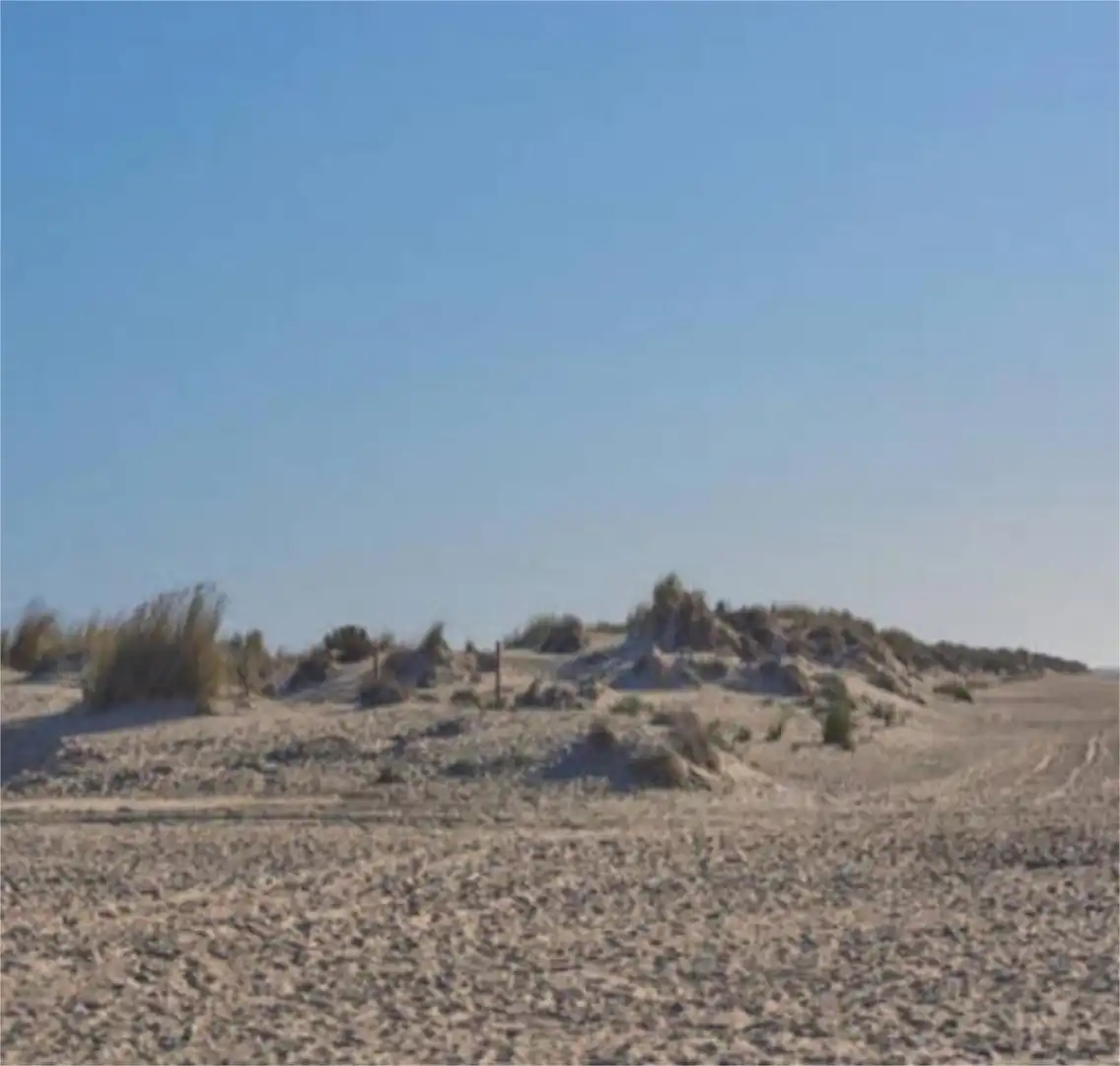 Apartments for rent in La Antilla Apartments for rent in La Antilla