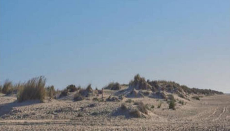 Wohnungen zur Miete in La Antilla, Huelva - Bild 1 Foto 1 von Wohnungen zur Miete in La Antilla, Huelva