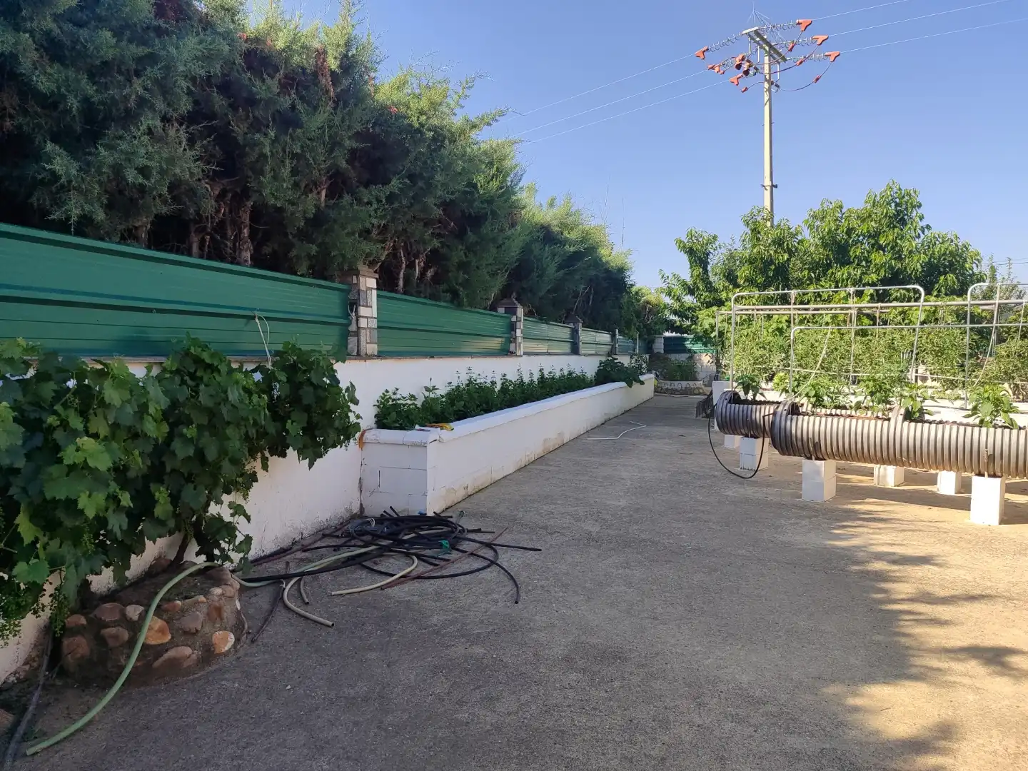 Jardín de Casa o chalet en venta en Calvarrasa de Abajo con Terraza