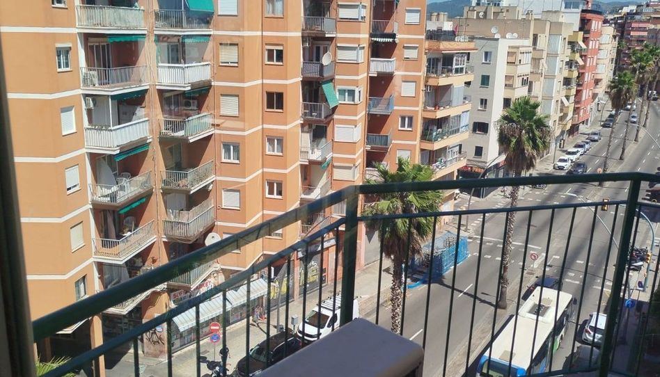Piso en venta en Carrer D'albacete, 1, Es Camp Redó, Palma de Mallorca - imagen 1 Foto 1 de Piso en venta en Carrer D'albacete, 1, Es Camp Redó, Palma de Mallorca