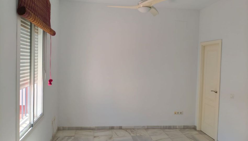 Apartments for rent in Calle Hermana Esclava Carmen Fernández, 14, Sanlúcar la Mayor, Sevilla - image 1 Photo 1 of Apartments for rent in Calle Hermana Esclava Carmen Fernández, 14, Sanlúcar la Mayor, Sevilla