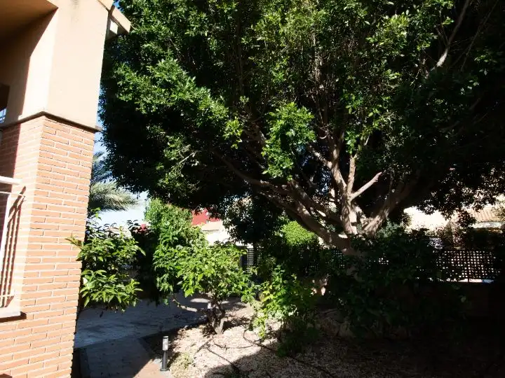 Casa o chalet de alquiler en Calle Aire, 20, Pedanías Norte Jardín de Casa o chalet de alquiler en Murcia Capital con Aire acondicionado, Terraza y Piscina