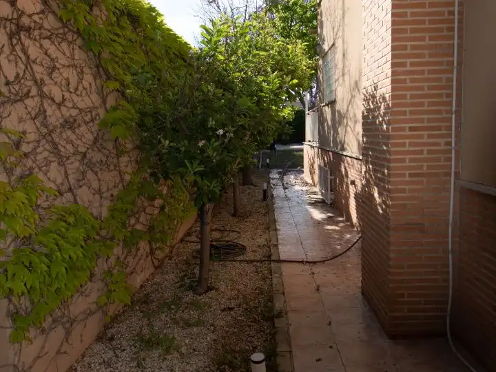 Casa o chalet de alquiler en Calle Aire, 20, Pedanías Norte Jardín de Casa o chalet de alquiler en Murcia Capital con Aire acondicionado, Terraza y Piscina