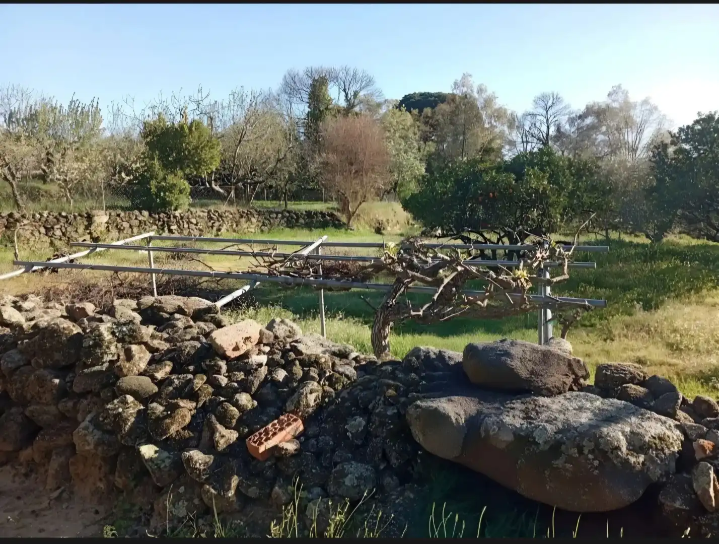 Finca rústica en venda a Carretera Plasencia, 40, Valverde de la Vera Jardí de Finca rústica en venda en Valverde de la Vera