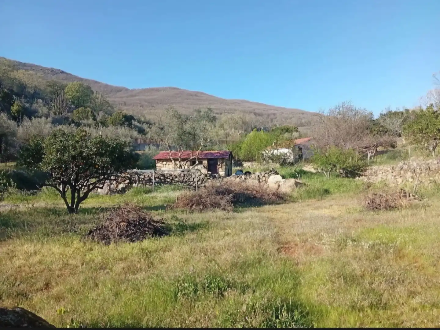 Finca rústica en venda a Carretera Plasencia, 40, Valverde de la Vera Finca rústica en venda en Valverde de la Vera
