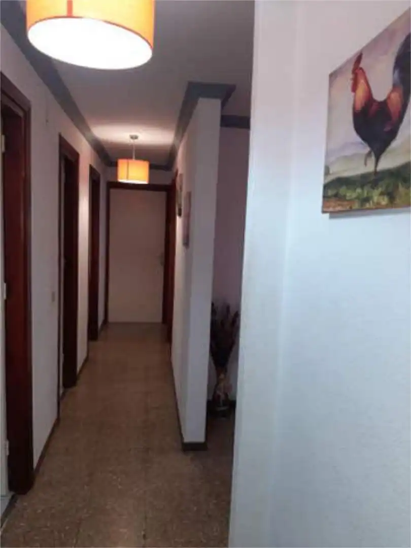 Flat for rent in La Laguna Flat for rent in La Laguna