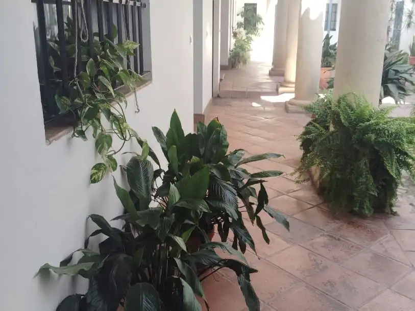 Piso de alquiler en  Sevilla Capital con Aire acondicionado
