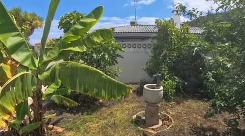 Photo 3 of Houses for sale in Calle Camelia, 162, El Sauzal, Santa Cruz de Tenerife