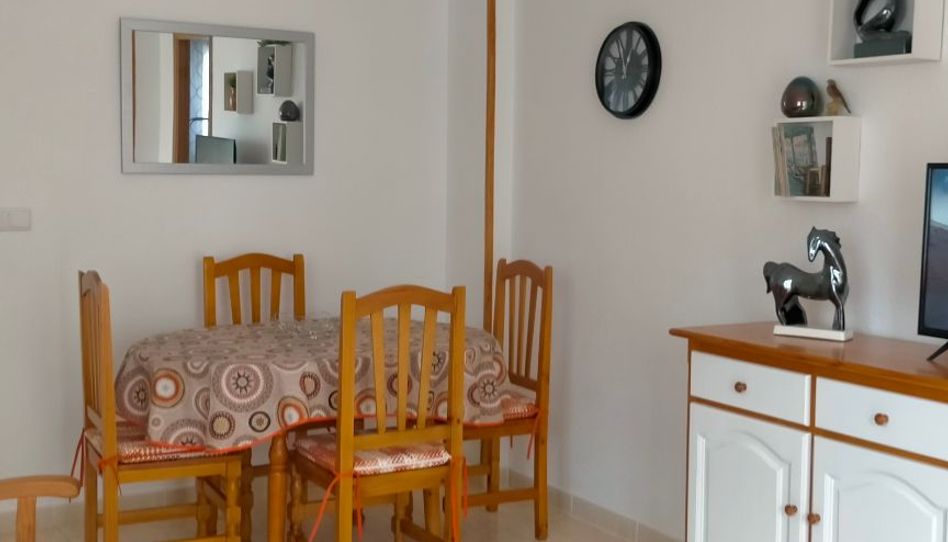 Apartament de lloguer a Plaza Médico José María Sanz, 1, Las Viñas, Guardamar del Segura - imatge 1 Foto 1 de Apartament de lloguer a Plaza Médico José María Sanz, 1, Las Viñas, Guardamar del Segura