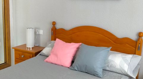 Apartament de lloguer a Plaza Médico José María Sanz, 1, Las Viñas, Guardamar del Segura - imatge 3 Foto 3 de Apartament de lloguer a Plaza Médico José María Sanz, 1, Las Viñas, Guardamar del Segura