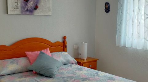 Apartament de lloguer a Plaza Médico José María Sanz, 1, Las Viñas, Guardamar del Segura - imatge 4 Foto 4 de Apartament de lloguer a Plaza Médico José María Sanz, 1, Las Viñas, Guardamar del Segura