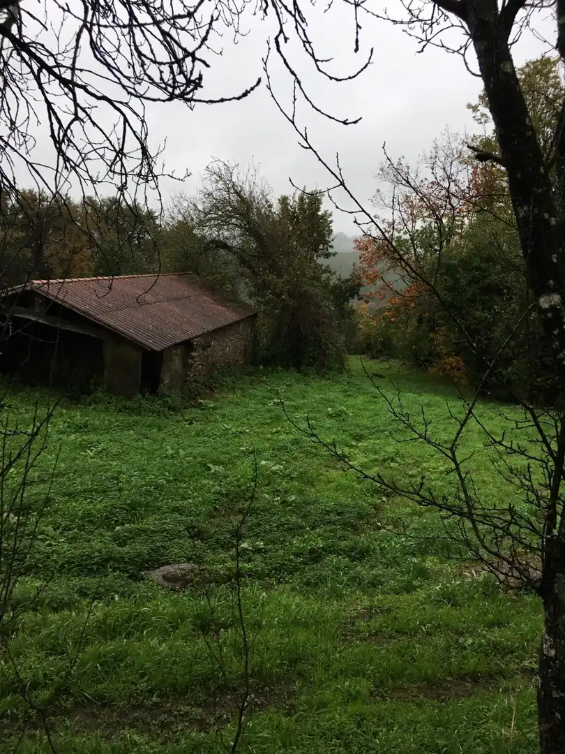 Country homes for sale in O Pino 