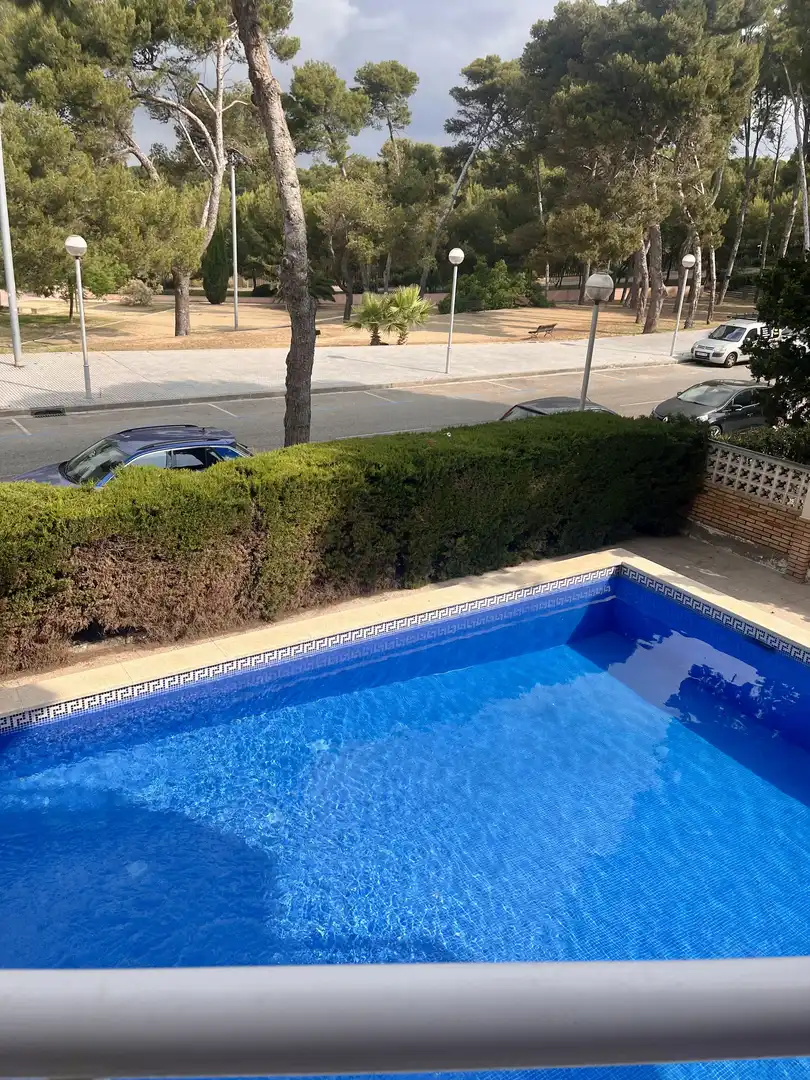 Apartments for rent in Carrer dels Replanells, 7, Pla de Maset - Cap de Salou Swimming pool of Apartments for rent in Salou with Private garden, Terrace and Swimming Pool