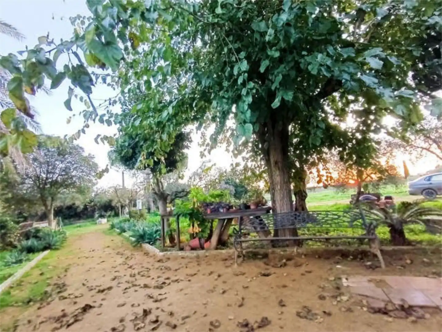 Casa adosada en venta en Umbrete Jardín de Casa adosada en venta en Umbrete