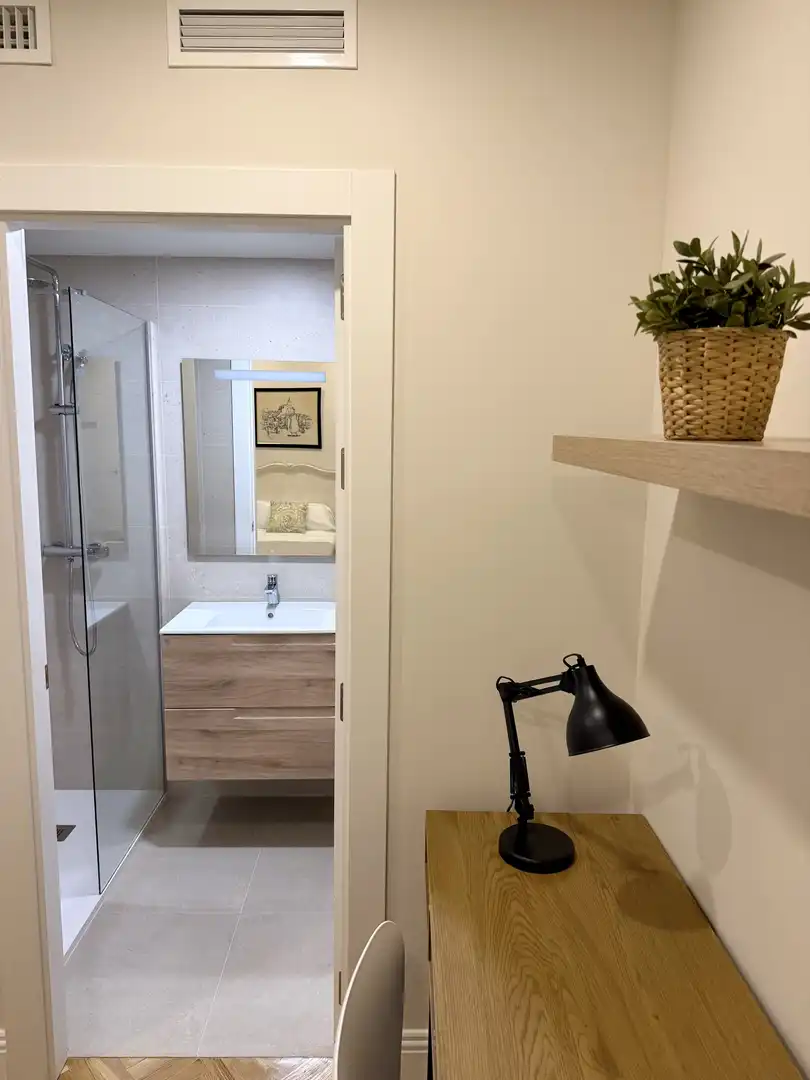 Flat for rent in Alameda de Colón, 34, Ensanche Centro - Puerto Bathroom of Flat for rent in Málaga Capital with Air Conditioner