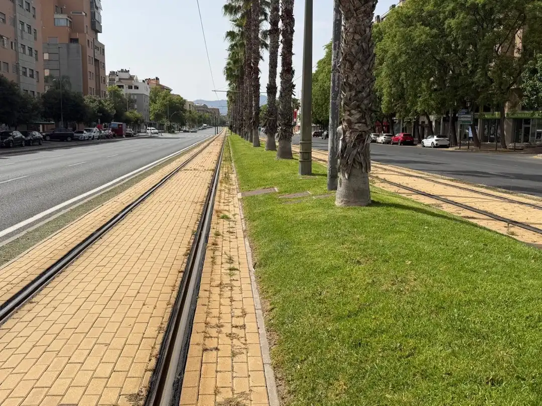 Piso de alquiler en Avenida Juan Carlos I, 44, Juan Carlos I Vista exterior de Piso de alquiler en Murcia con Aire acondicionado, Parquet y Terraza