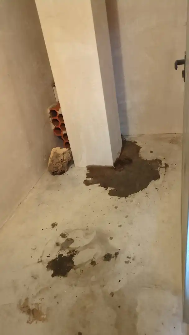 Traster de lloguer en El Campello