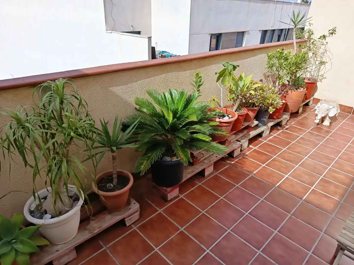 Ático en venta en Calle Murillo, 29, Roquetas Pueblo Terraza de Ático en venta en Roquetas de Mar con Aire acondicionado, Calefacción y Terraza