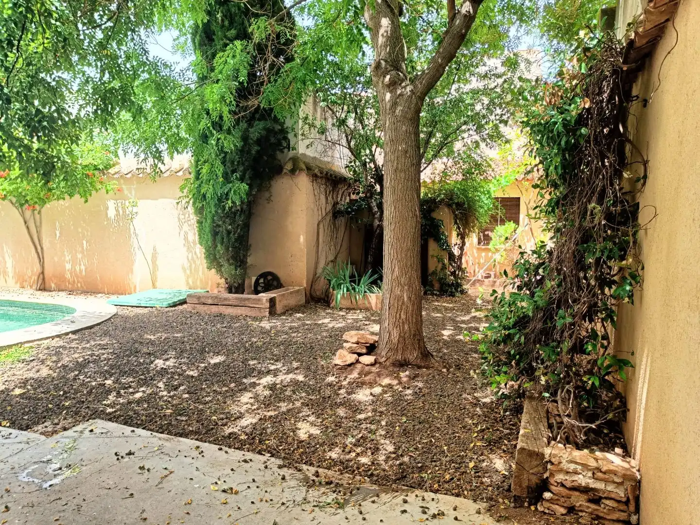Wohnung zur Miete in Calle Miguel Servet, 16, Daimiel Garten von Wohnung zur Miete in Daimiel mit Heizung, Privatgarten und Parkett
