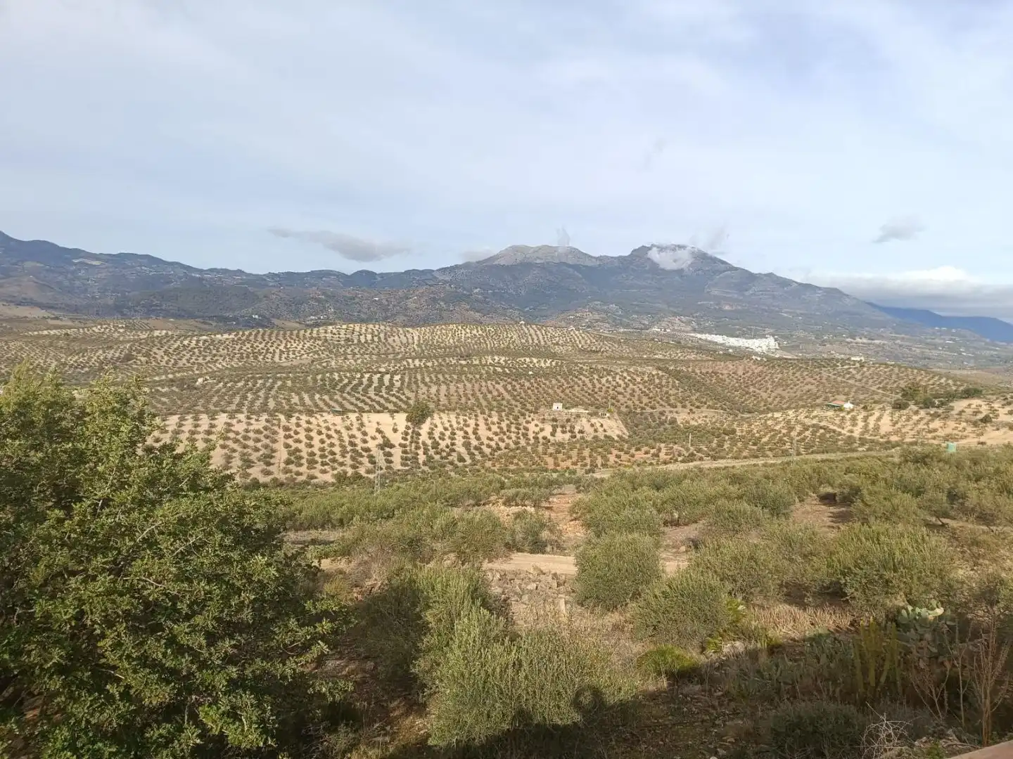 Finca rústica en venta en Camino Alto de Guaro, 23, Alozaina Finca rústica en venta en Alozaina con Piscina