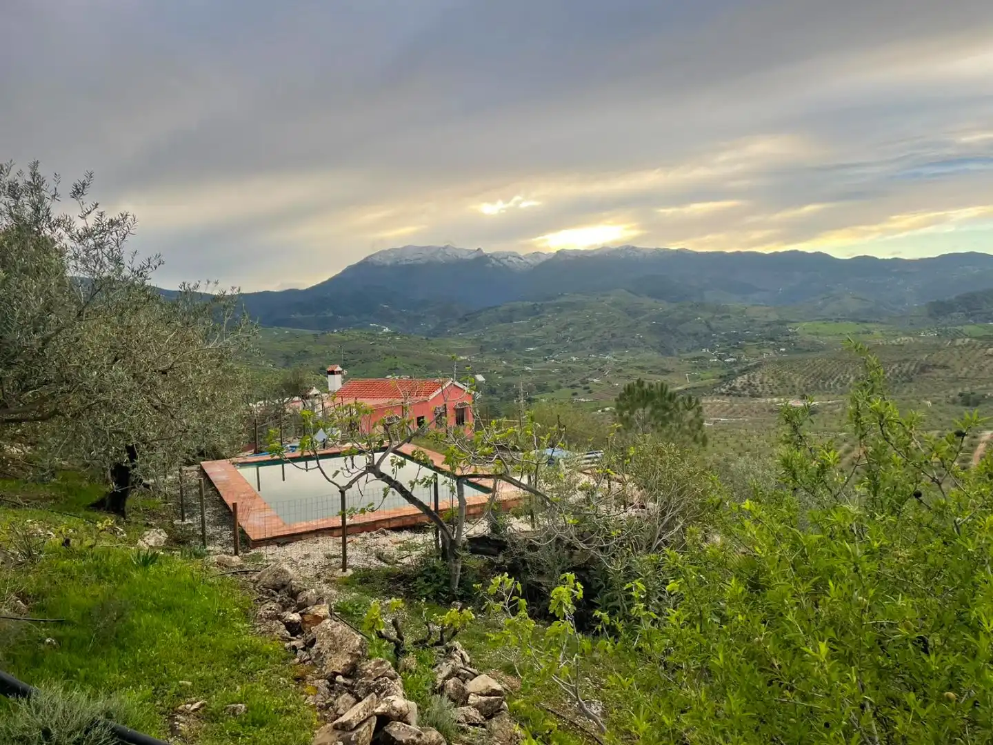 Finca rústica en venta en Camino Alto de Guaro, 23, Alozaina Piscina de Finca rústica en venta en Alozaina con Piscina