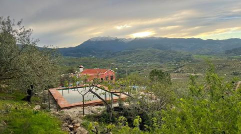 Finca rústica en venda a Camino Alto de Guaro, 23, Alozaina, Málaga - imatge 3 Foto 3 de Finca rústica en venda a Camino Alto de Guaro, 23, Alozaina, Málaga