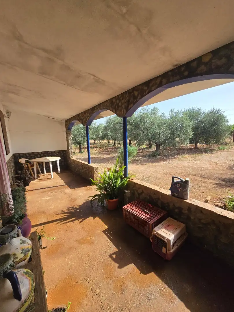 Finca rústica en venda a Calle la Ronda, 5, Écija Jardí de Finca rústica en venda en Écija amb Aire condicionat, Jardí privat i Terrassa