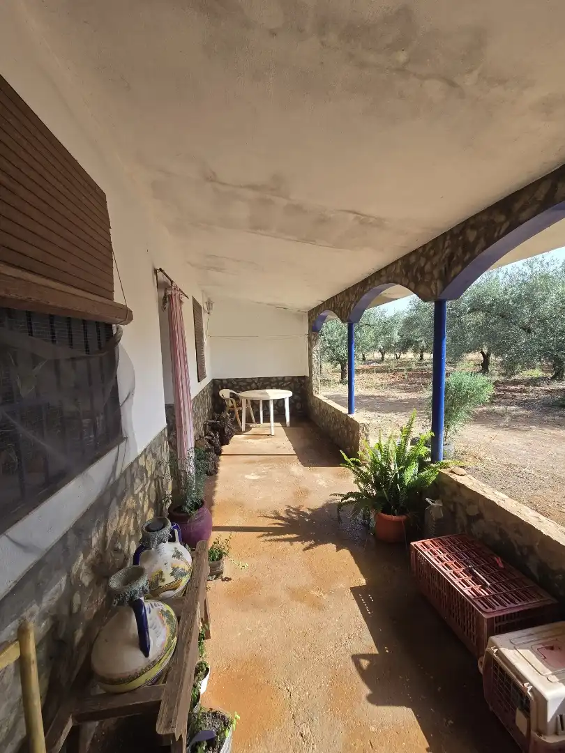Finca rústica en venda a Calle la Ronda, 5, Écija Finca rústica en venda en Écija amb Aire condicionat, Jardí privat i Terrassa