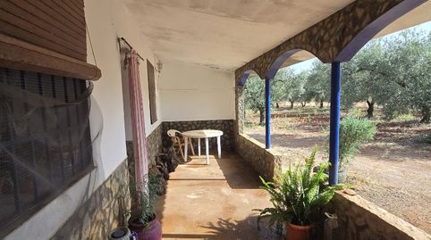 Finca rústica en venda a Calle la Ronda, 5, Écija, Sevilla - imatge 3 Foto 3 de Finca rústica en venda a Calle la Ronda, 5, Écija, Sevilla