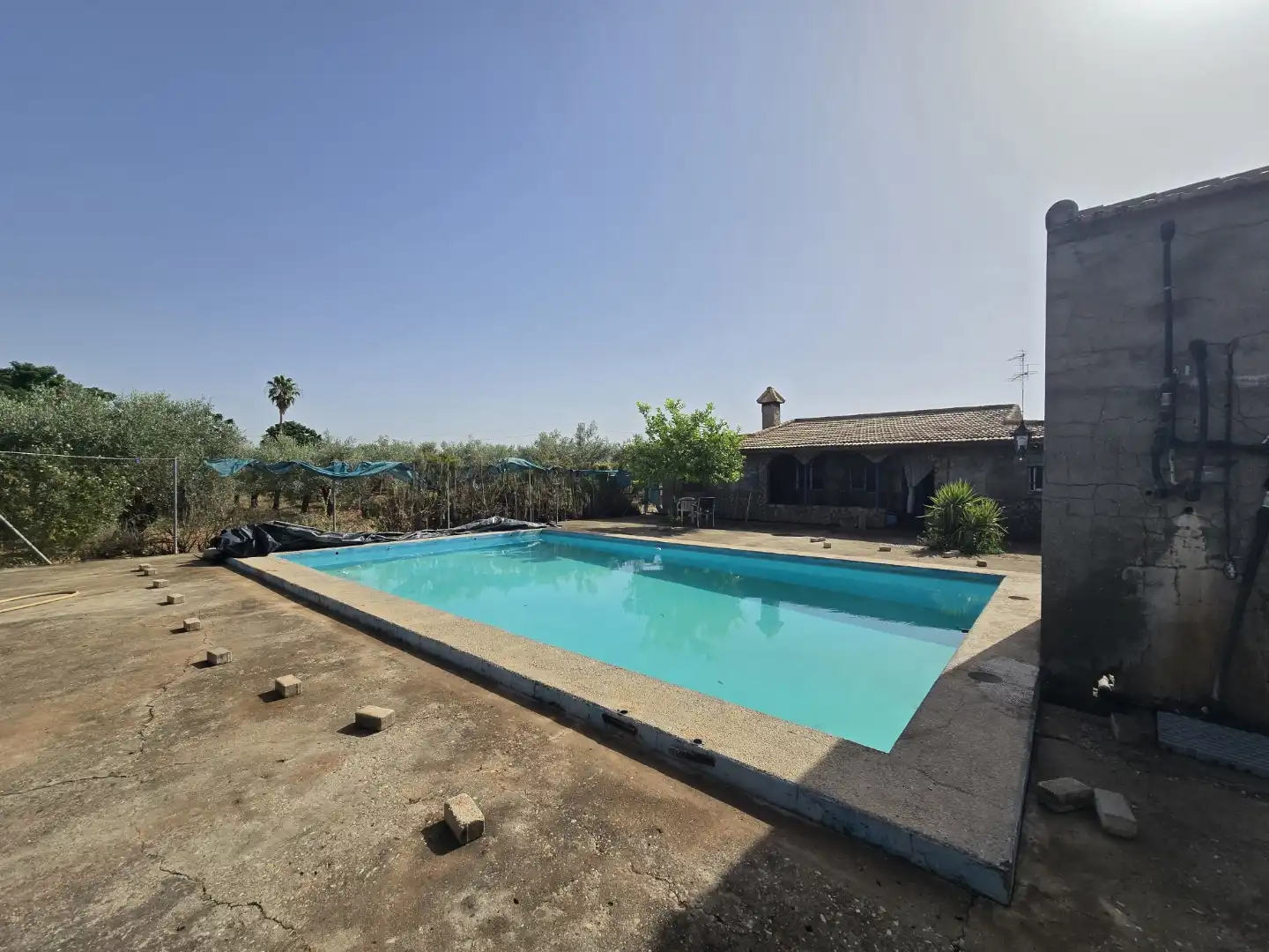 Finca rústica en venda a Calle la Ronda, 5, Écija Piscina de Finca rústica en venda en Écija amb Aire condicionat, Jardí privat i Terrassa