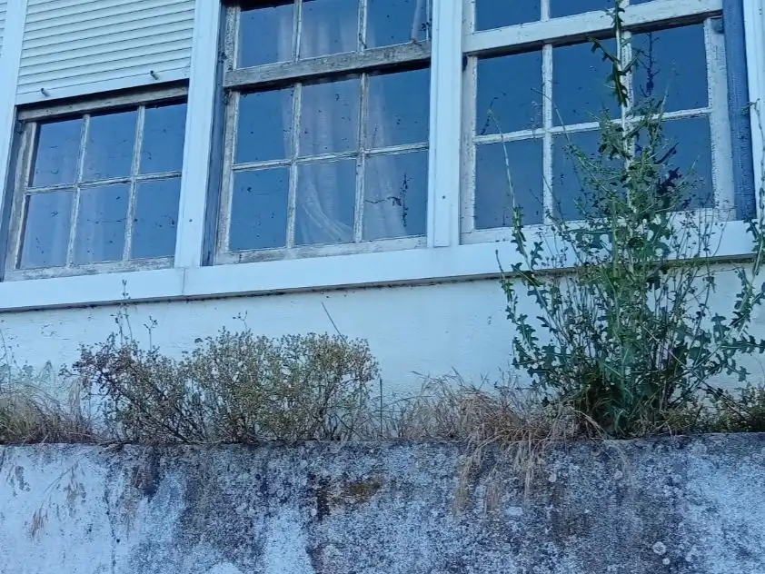 Casa o xalet en venda a Poblado Frieira, 8, Crecente Vista exterior de Casa o xalet en venda en Crecente amb Jardí privat, Terrassa i Traster