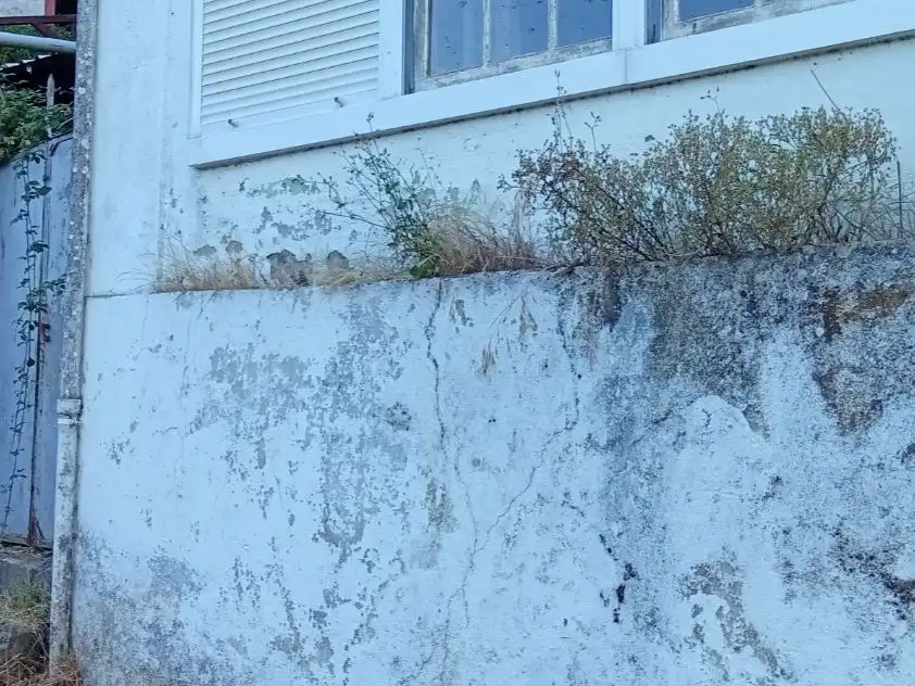 Casa o xalet en venda a Poblado Frieira, 8, Crecente Vista exterior de Casa o xalet en venda en Crecente amb Jardí privat, Terrassa i Traster
