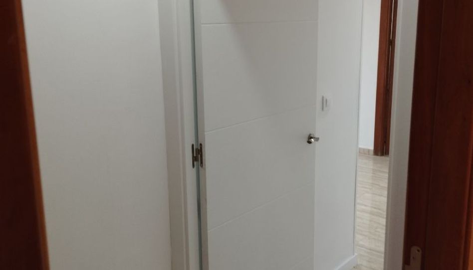 Pis de lloguer a Calle de la Libra, 70, Pla de la Vallonga, Alicante / Alacant - imatge 1 Foto 1 de Pis de lloguer a Calle de la Libra, 70, Pla de la Vallonga, Alicante / Alacant