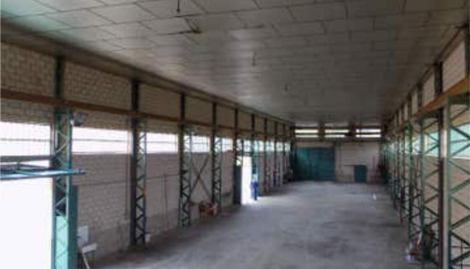 Fabrikhallen zur Miete in Falces, Navarra - Bild 1 Foto 1 von Fabrikhallen zur Miete in Falces, Navarra