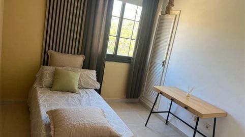 Foto 3 de Habitació a Bocacangrejo - Costanera, El Rosario