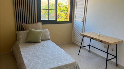 Foto 4 de Habitació a Bocacangrejo - Costanera, El Rosario