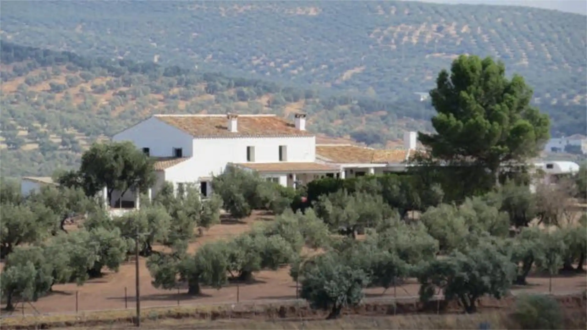 Houses for sale in Archidona Garden of Houses for sale in Archidona with Heating, Private garden and Terrace