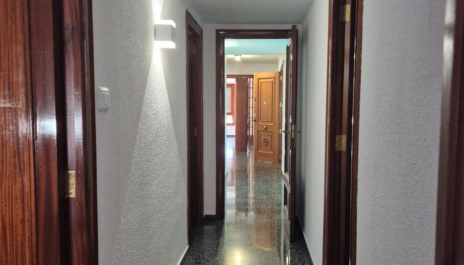 Piso de alquiler en Avinguda Loygorri, 5, Oliva pueblo, Oliva - imagen 1 Foto 1 de Piso de alquiler en Avinguda Loygorri, 5, Oliva pueblo, Oliva