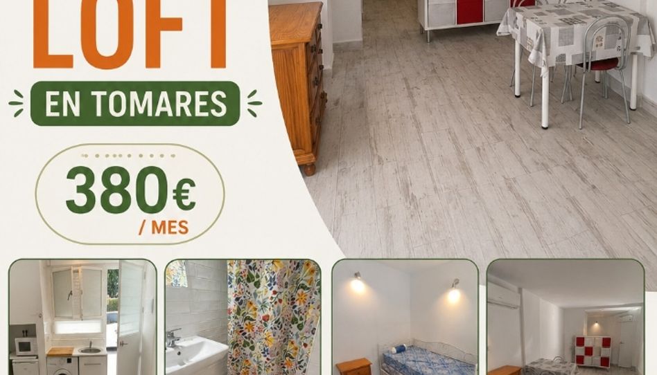 Lofts for rent in Plaza Escuela Sevillana, 17d, Las Almenas, Tomares - image 1 Photo 1 of Lofts for rent in Plaza Escuela Sevillana, 17d, Las Almenas, Tomares