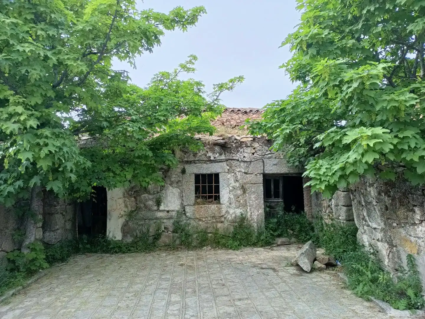 Exterior view of Detached homes for sale in Zarzalejo