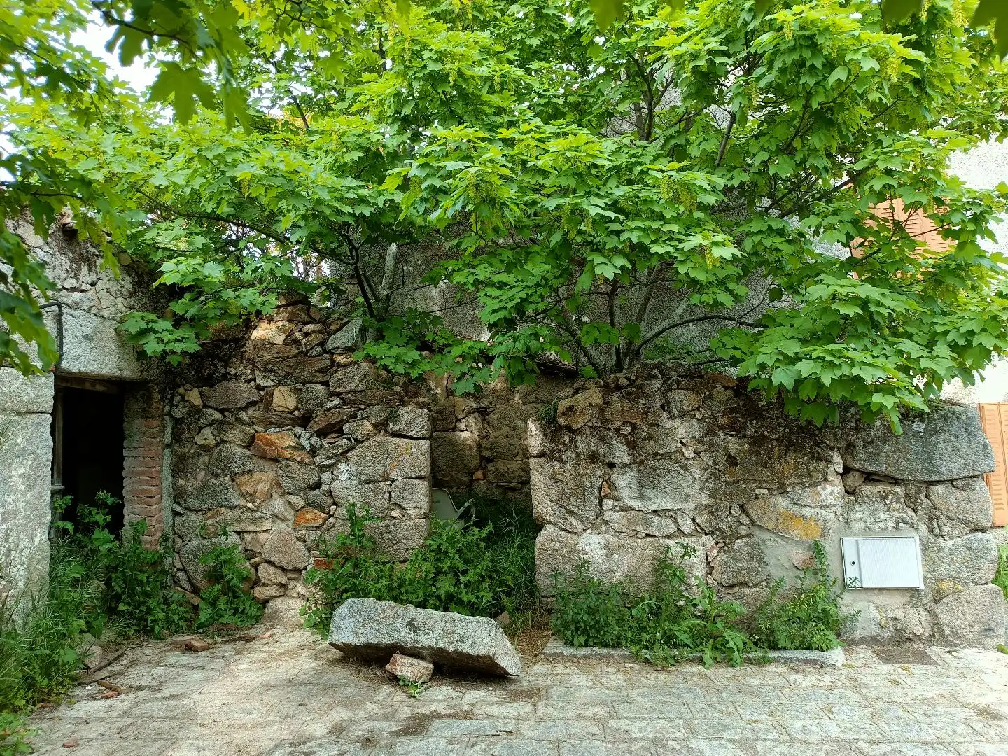 Garden of Detached homes for sale in Zarzalejo