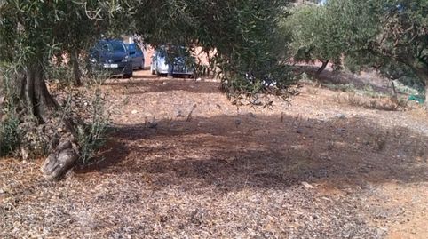 Foto 5 de Piso en venta en Diseminado el Cerval Pol 15, 34b, El Rescate - Río Seco, Almuñécar