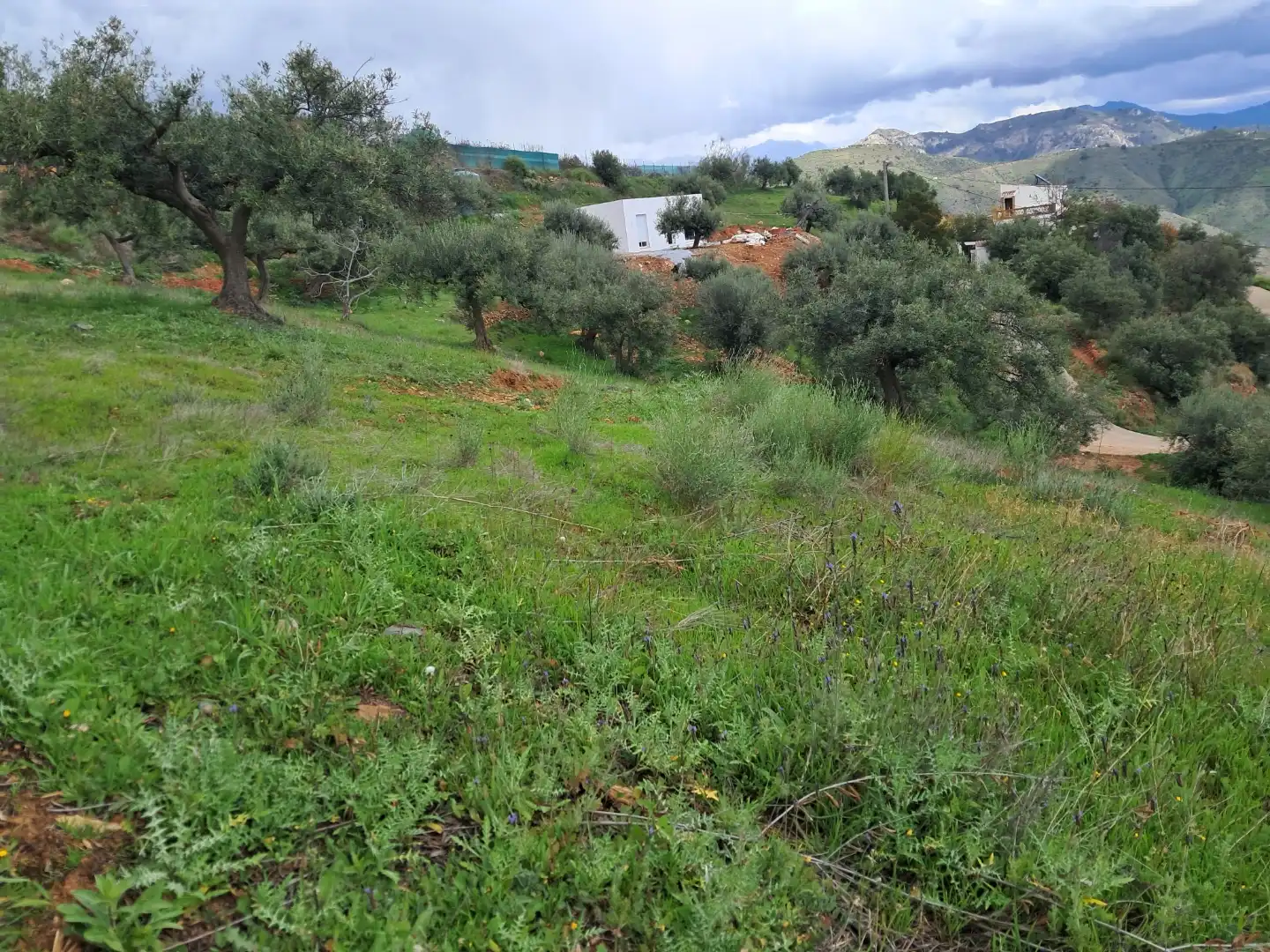 Piso en venta en Almuñécar con Terraza, Trastero y Amueblado