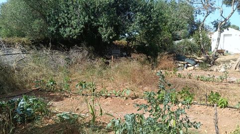 Photo 2 of Country homes for sale in Diseminado Poligono 12, 198, Alaior poble, Alaior