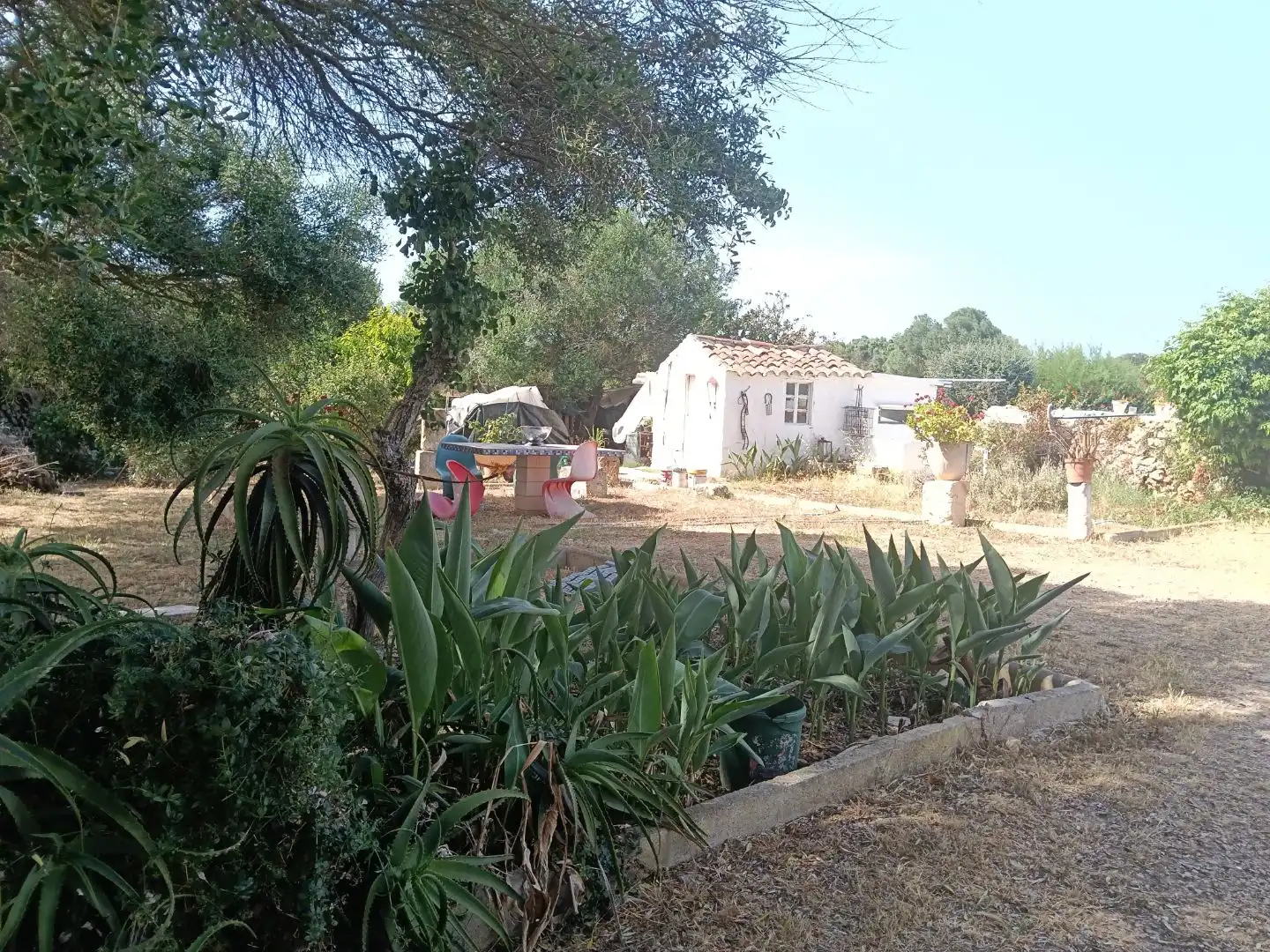 Garden of Country homes for sale in Alaior  with Terrace