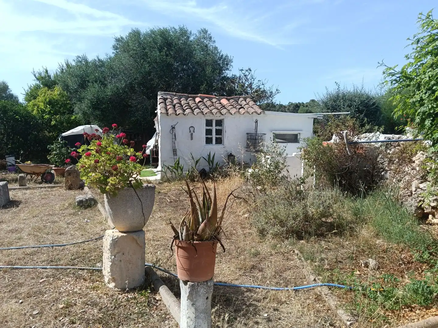 Country homes for sale in Alaior  with Terrace