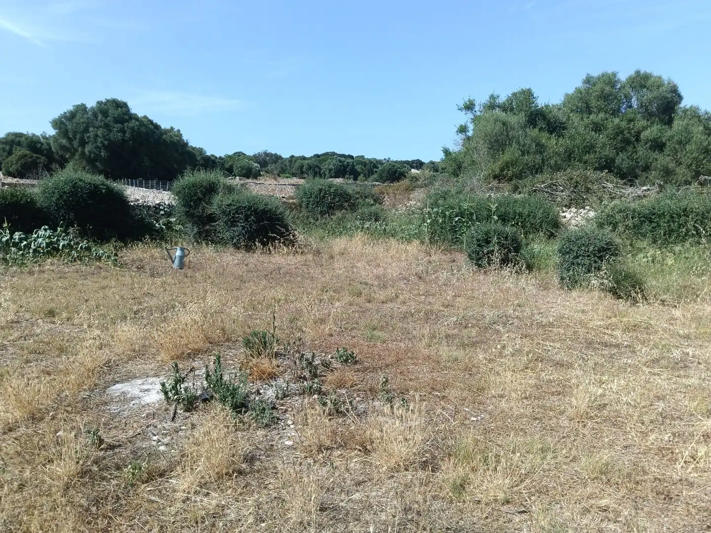 Country homes for sale in Alaior  with Terrace