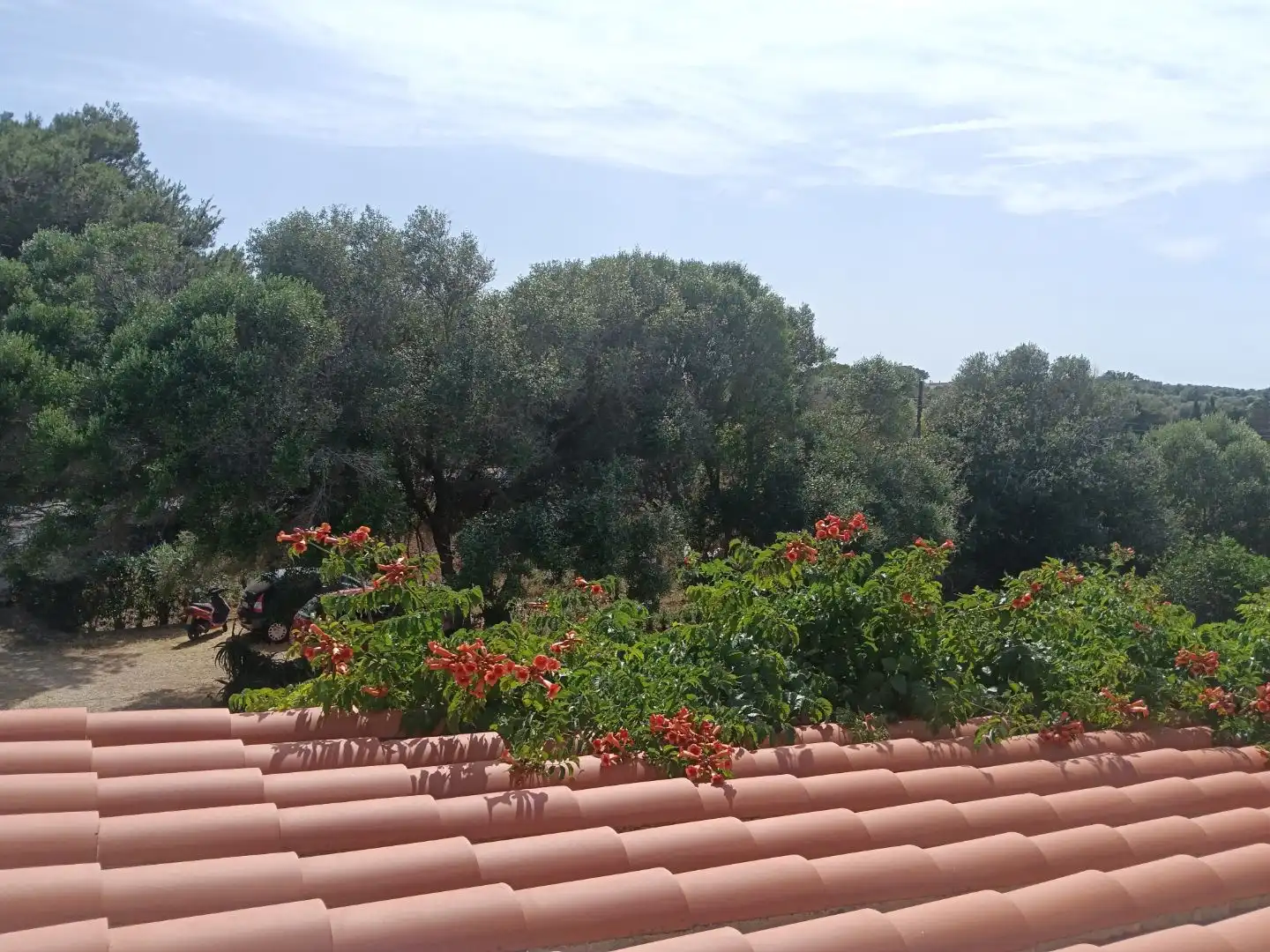 Garden of Country homes for sale in Alaior  with Terrace