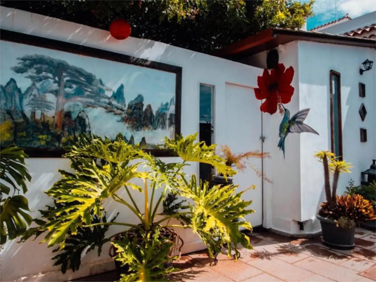 Jardín de Casa o chalet de alquiler en Arona